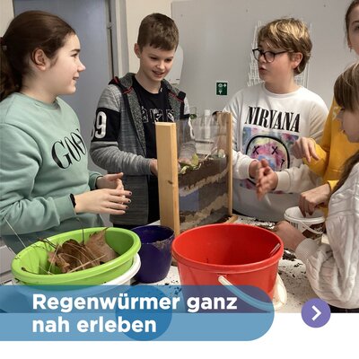 🪱 Forschung hautnah: Regenwürmer im Fokus 🪱
Die Klasse 7a unserer Corrie-ten-Boom-Schule hat einen eigenen...